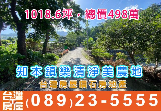 台東山坡地-1