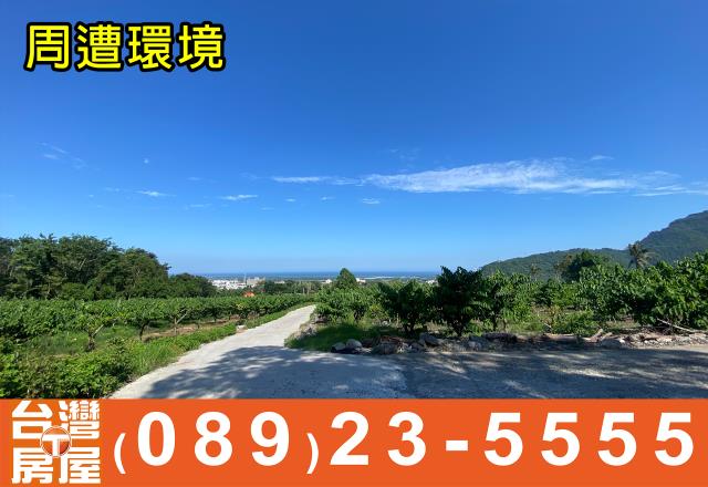 台東山坡地-8