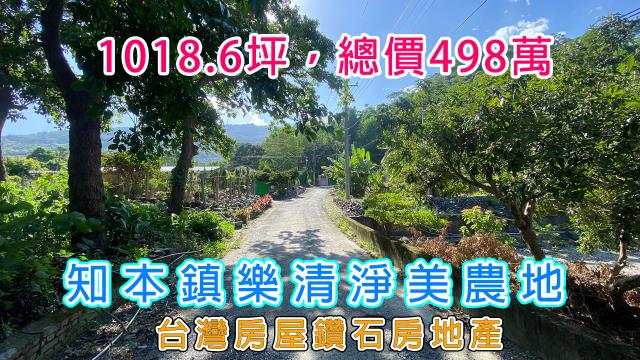 台東山坡地-2