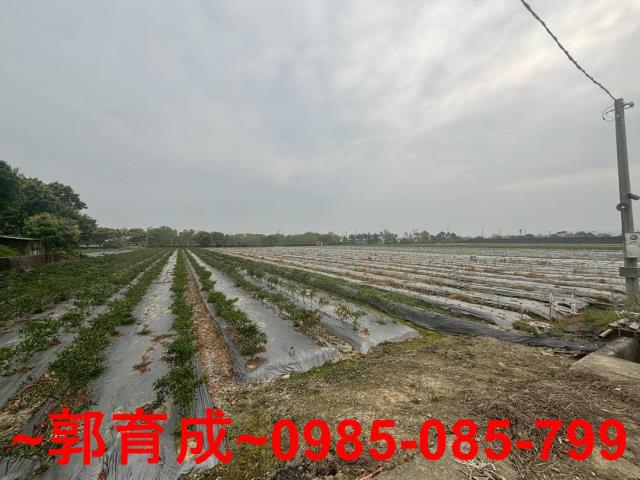 白河農地-4