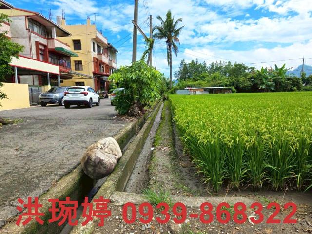 草屯農地-3