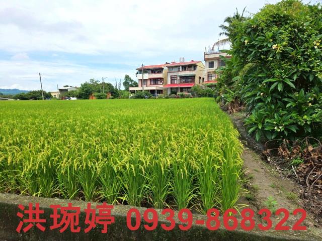 草屯農地-4