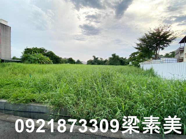 台南農地-12