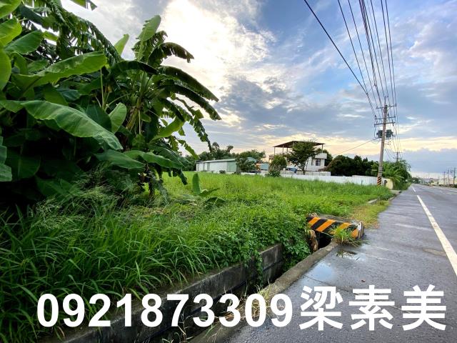 台南農地-3