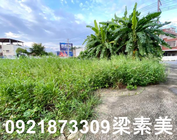台南農地-4