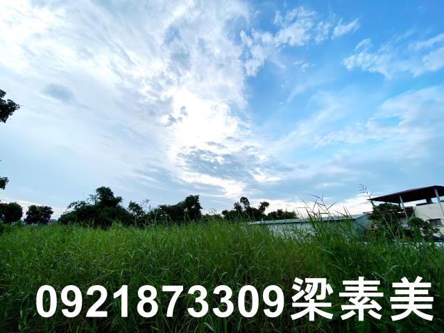 台南農地-7