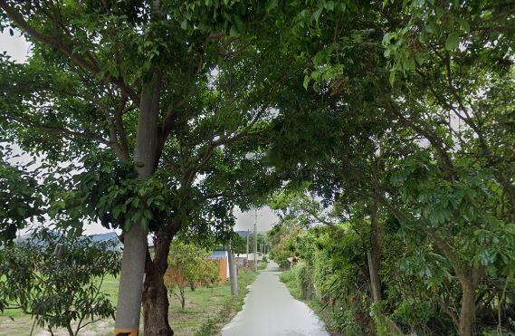 台南楠西農地-6