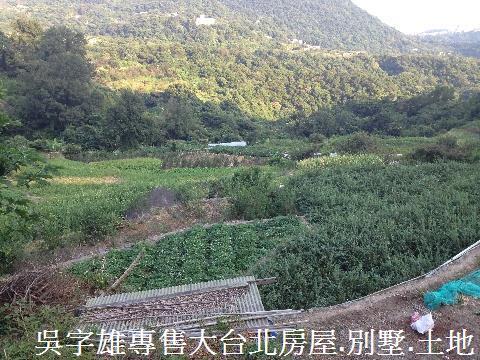 北投農地-3
