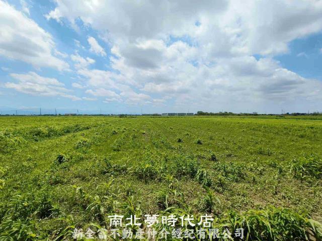 台南鹽水農地-5
