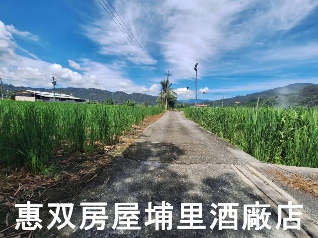 南投埔里農地-2