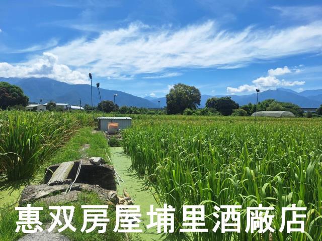 南投埔里農地-4
