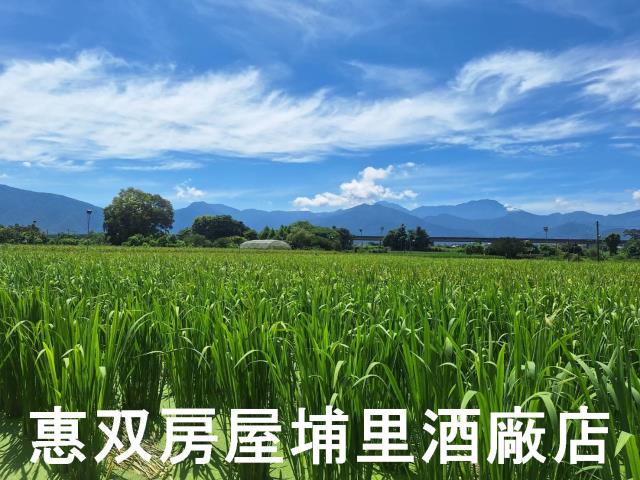南投埔里農地-7