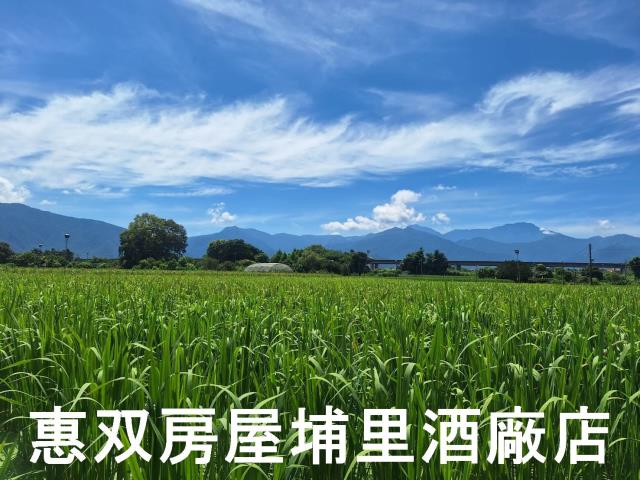 南投埔里農地-1