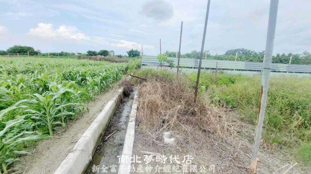 佳里農地-12