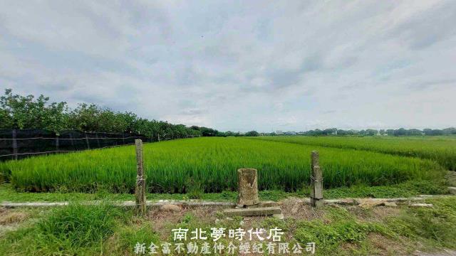 佳里農地-6