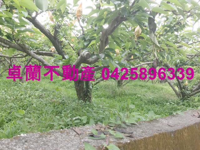 苗栗農地-10