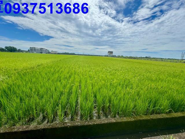 宜蘭農地-7