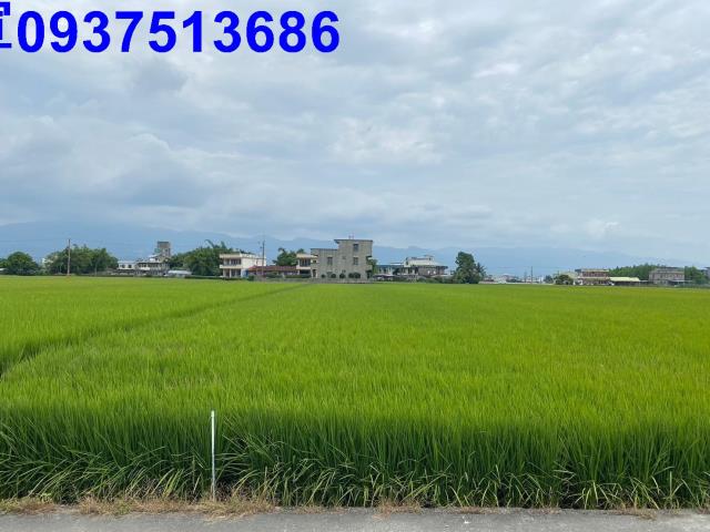 宜蘭壯圍農地-6