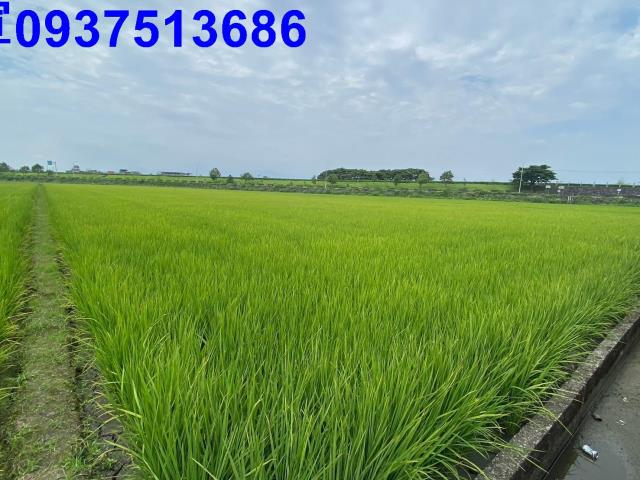 宜蘭壯圍農地-3