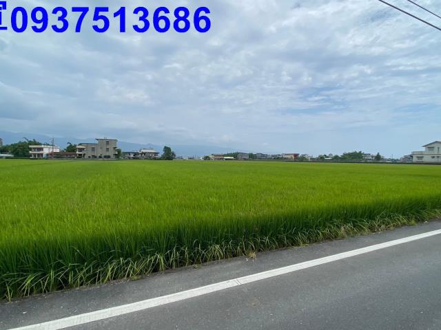 宜蘭壯圍農地-7