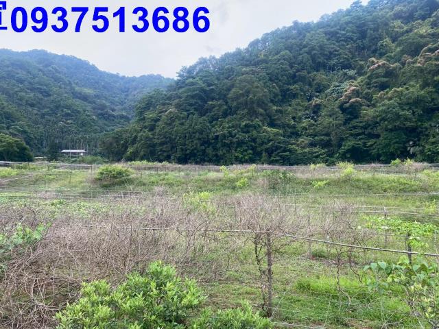 宜蘭員山農地-5