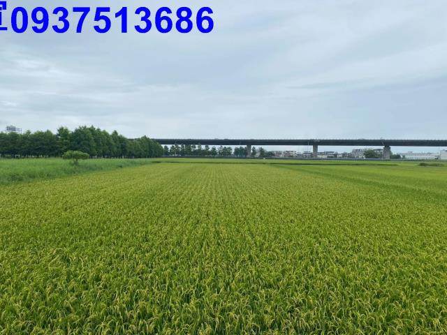 宜蘭礁溪農地-11