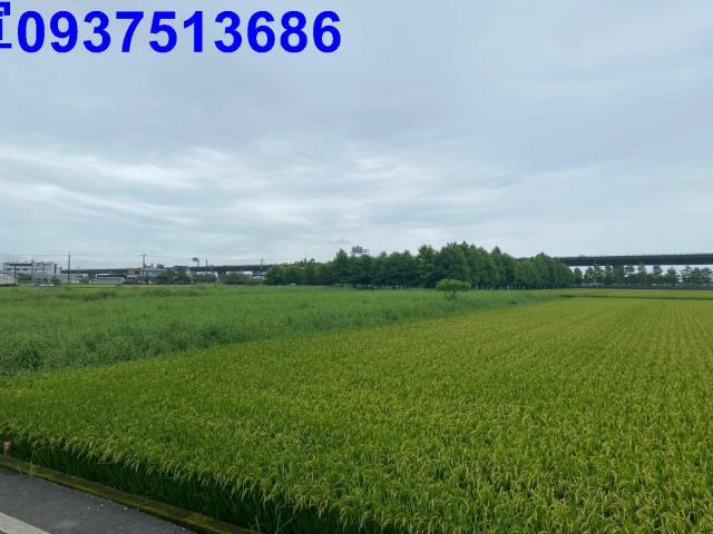 宜蘭礁溪農地-2