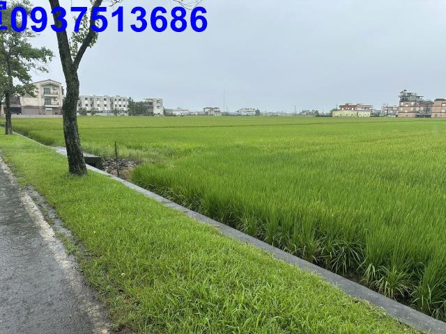 壯圍農地-1