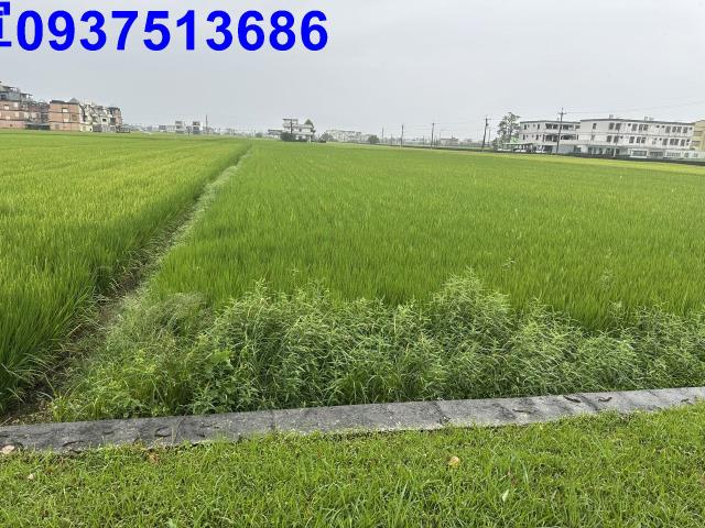 壯圍農地-2
