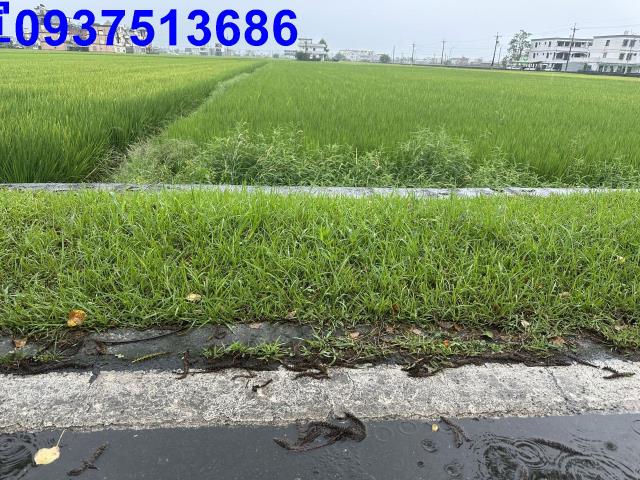 壯圍農地-3