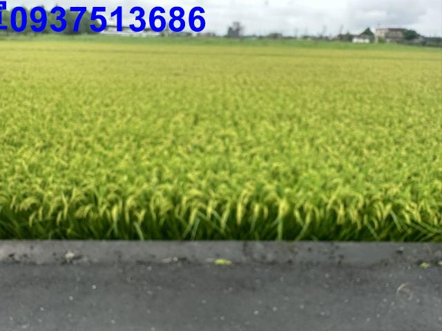 礁溪農地-6