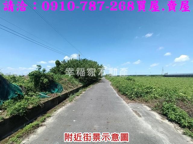 柳營農地-10