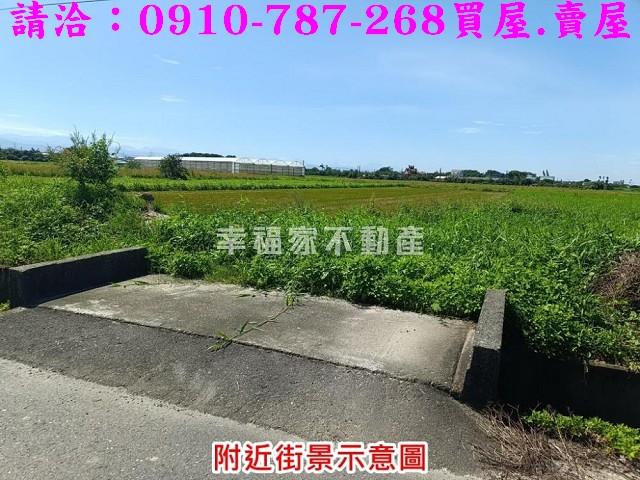 柳營農地-3