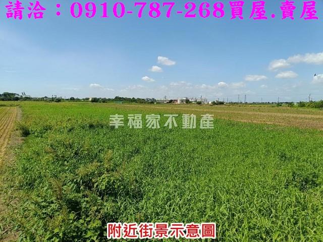 柳營農地-4