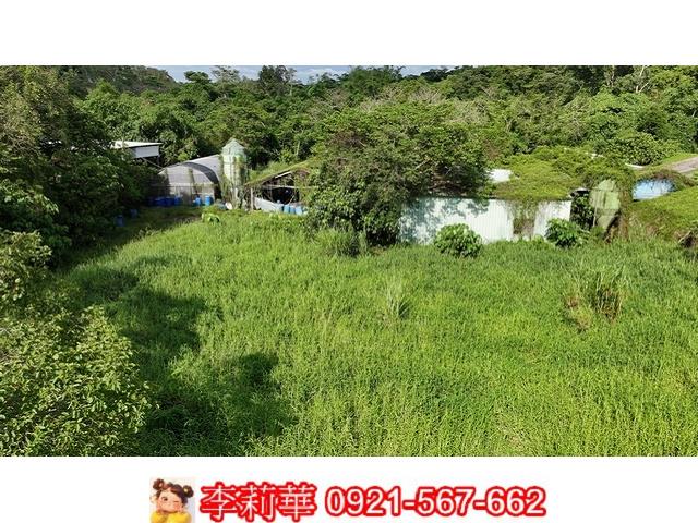 台南農地-11