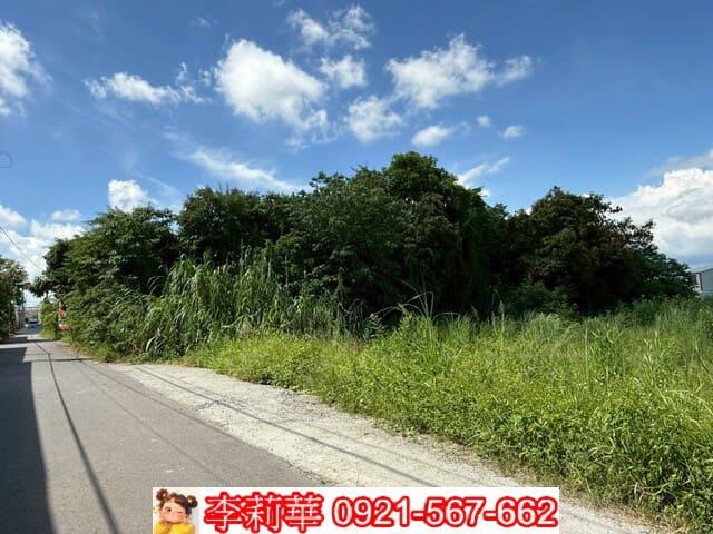 台南農地-4