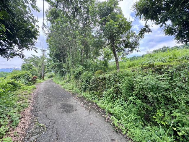 中寮農地-2