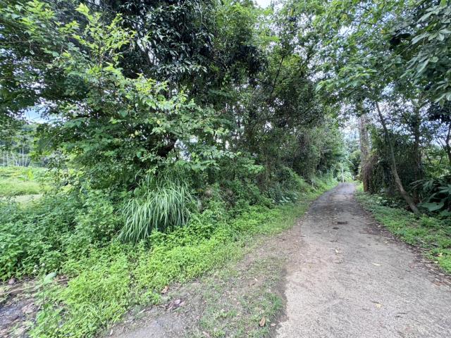 中寮農地-3