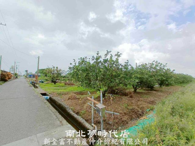 下營農地-5