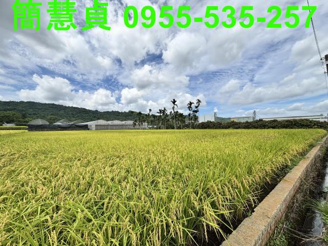南投農地-2