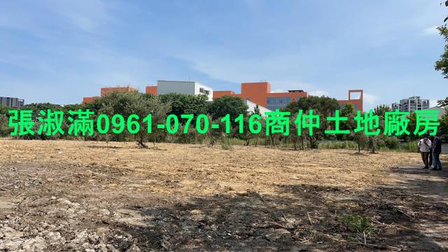 桃園大園工業地-3