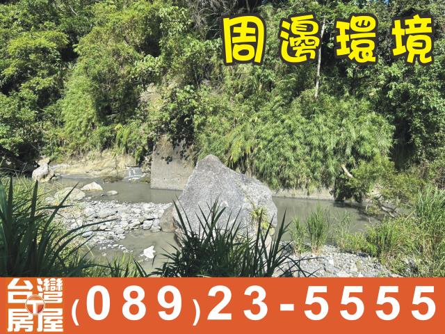 台東成功農地-3