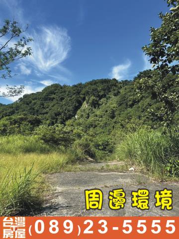 台東成功農地-4