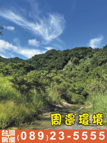 台東成功農地-5