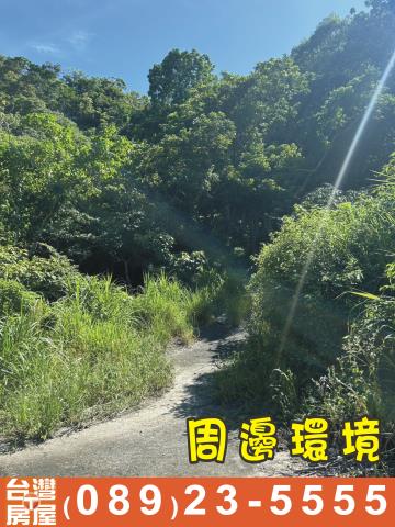 台東成功農地-6