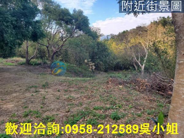 新竹新埔山坡地-1