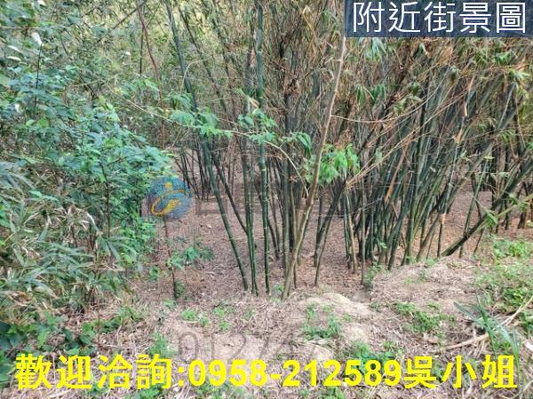 新竹新埔山坡地-3