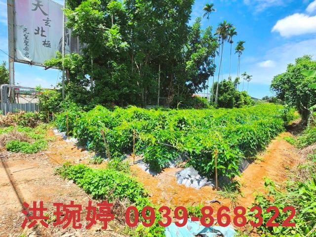 南投南投市農地-3