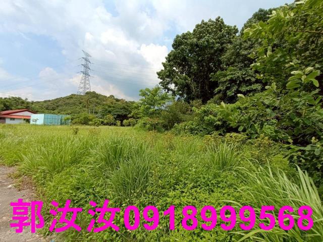 台南楠西農地-7