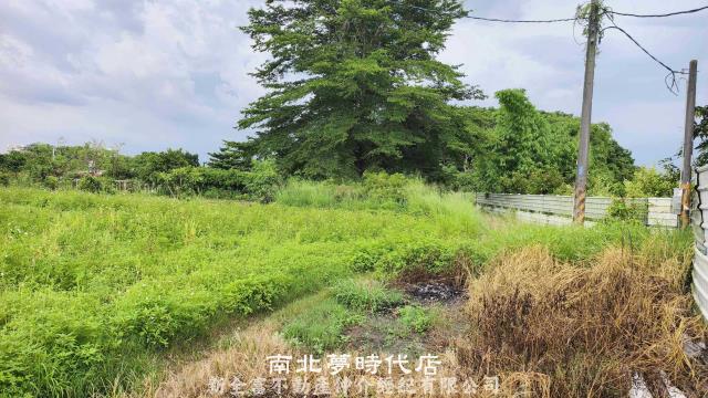 仁德農地-1